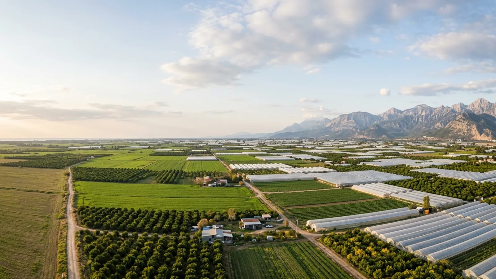 Aksu, Türkiye — the flat green farmland of the Aksu plain just east of Antalya, greenhouses and citrus groves with the Taurus mountains on the horizon.