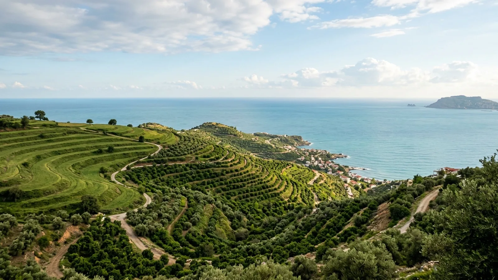 Kargicak, Türkiye — the hillside above Kargicak east of Alanya, olive and avocado terraces on steep green slopes looking down over the Mediterranean.