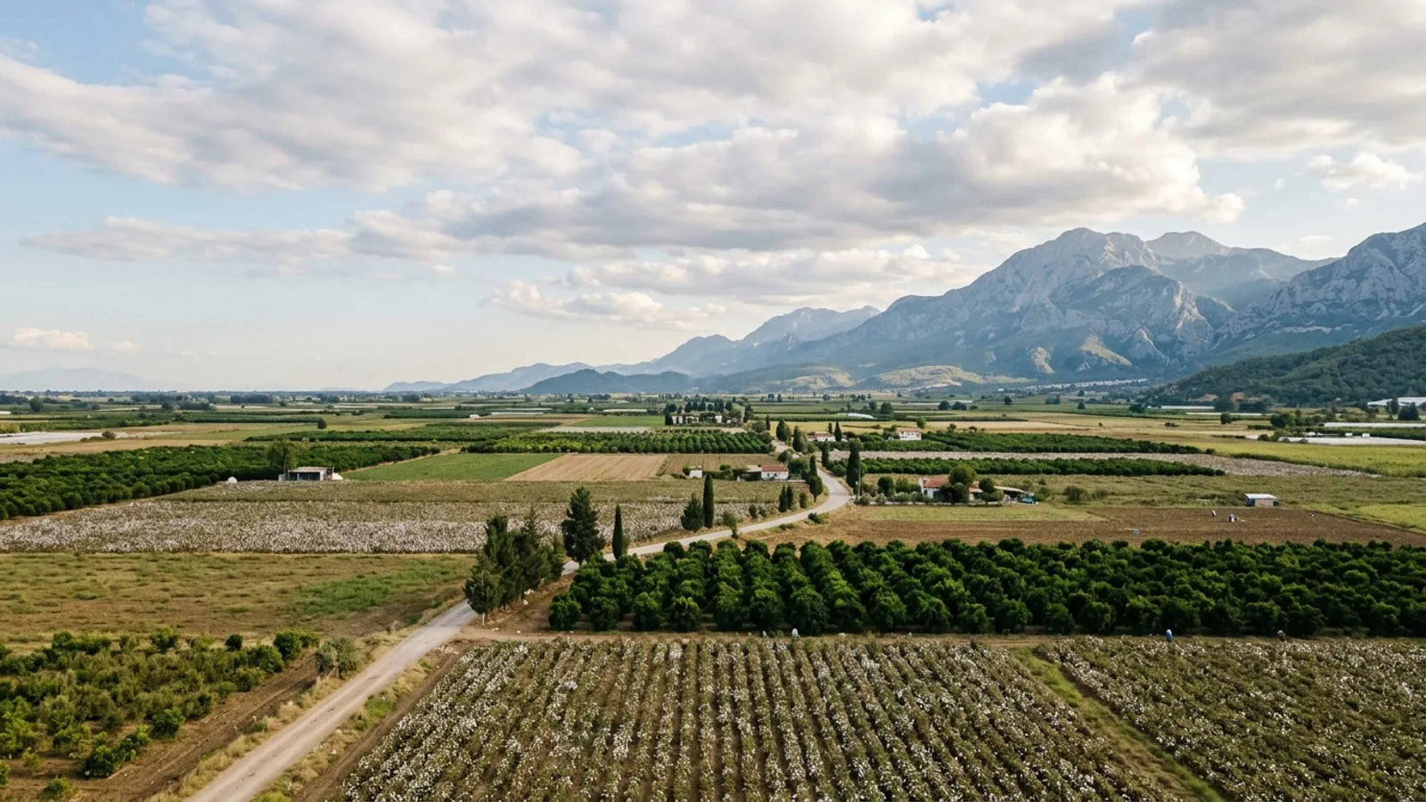 Serik, Türkiye — the farmland around Serik inland from the Antalya coast, cotton and citrus fields on a flat plain with the Taurus mountains on the horizon.